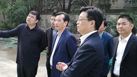 湖州市副市长项乐民莅临贝盛控股3GW组件扩产项目指导工作